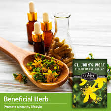 Attēlu rezultāti vaicājumam “Hypericum perforatum fruit”