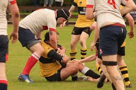 Image result for Annan Rugby Football Club