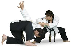 Image result for INTERNATIONAL HAPKIDO TAMWORTH