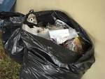 File:Garbage bag.jpg - Wikipedia, the free encyclopedia