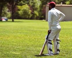 Image result for Elham Valley Cricket Club