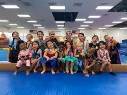 Image result for Acrobrats