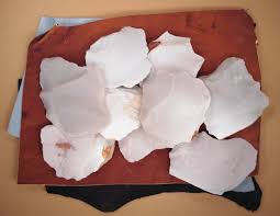 Image result for SEM micrographs of Novaculite Arkansas