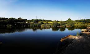 Image result for Wheatley Hill Angling Club