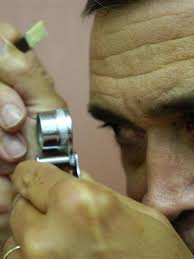 Attēlu rezultāti vaicājumam “Diachea leucopodia young”