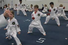 Image result for Worthington Martial Arts Institute