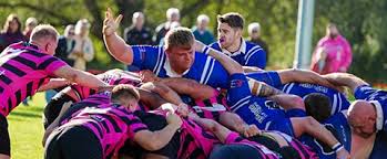 Image result for Hemel Hempstead Rugby League Football Club