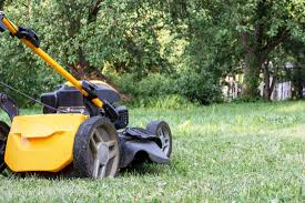 Image result for Justice Mowers Club