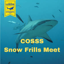 Image result for Leeds Sharks