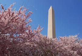Image result for The Washington Monument illuminati