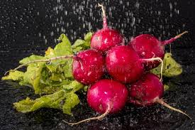 Image result for Radieschen