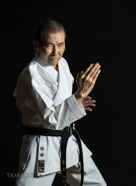 Image result for Zen Shin Seicho Do Adult Karate