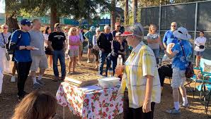 Image result for Motiv8 Pickleball Club