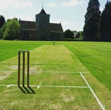 Image result for Temple Cloud Cricket Club