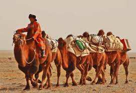 Image result for Nomads