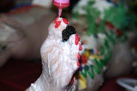 Image result for Nyotaimori