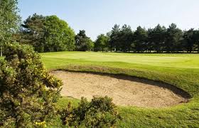 Image result for Bungay & Waveney Valley Golf Club