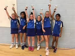 Image result for Elvington Ladies Netball Club