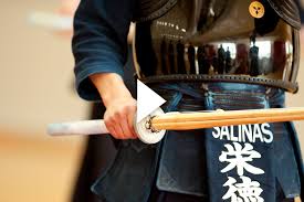 Image result for Gloster Kendo