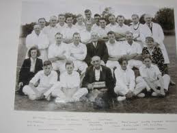 Image result for Ballinger Waggoners Cricket Club