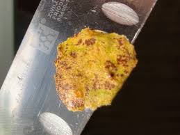 Attēlu rezultāti vaicājumam “Libanotis montana fruit”