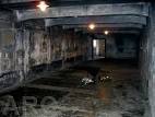 Auschwitz Gas Chambers