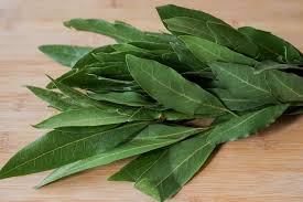 Image result for feuille-laurier-silex