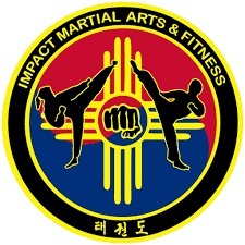 Image result for Impact Martial Arts