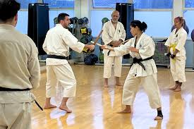 Image result for Winchester Shorinji Kempo Club