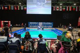 Image result for North Wales Boccia