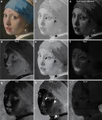 Image result for girl with a pearl earring