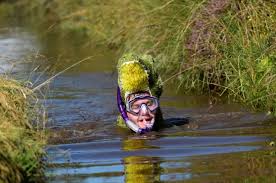 Image result for Bog Snorkelling Championships