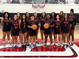 Image result for Blackpool Lights Ladies Basketball Club