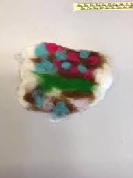 Image result for Curry Rivel Cc