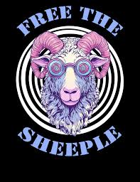 Image result for sheeple