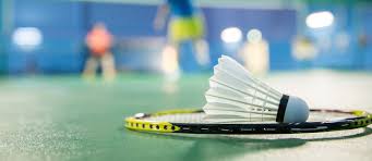 Image result for Pioneers Badminton Club