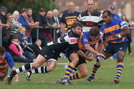 Image result for Sutton & Epsom Rugby Football Club