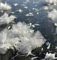 Attēlu rezultāti vaicājumam “Frost Flowers”