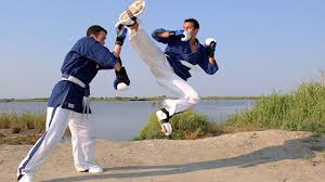 Image result for Yoseikan Budo England
