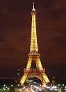 Eiffel Tower Picture