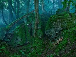 Kuvahaun tulos haulle Rochom