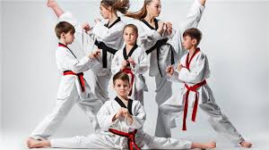 Image result for Martial Arts New Jersey