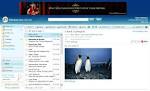 Windows Live Hotmail   review pricing alternatives