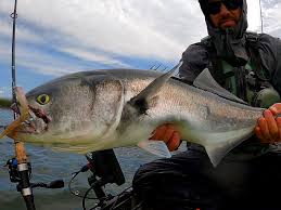 Image result for Newhaven Deep Sea Anglers
