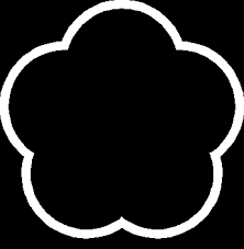 Image result for Midlands Wing Chun