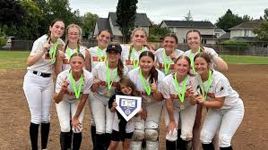 Image result for Dragons Softball Club