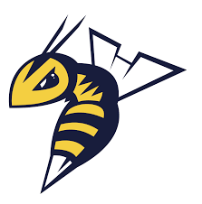 Image result for Stingers Korfball Club