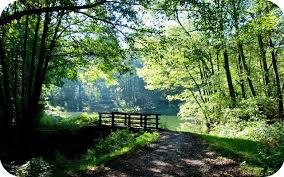 Image result for Cannock Cc