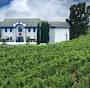 Lewis Chardonnay Napa Valley from www.wine.com