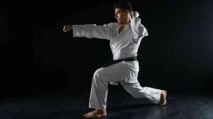 Image result for Reading Karate-Do Shotokai